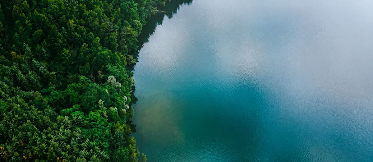 Forest and water landscape representing sustainable value